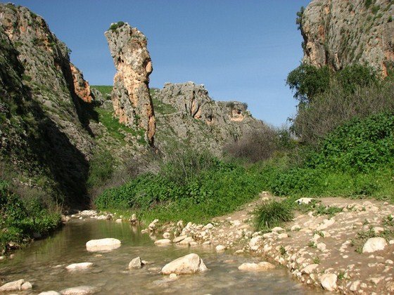 ניאנדרטלים במערת עמוד