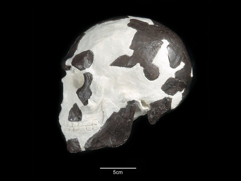 East Africa’s Oldest Modern Human Fossil Is Way Older Than Previously Thought